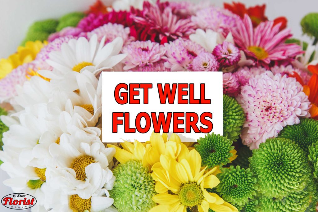 get well flowers St. Louis